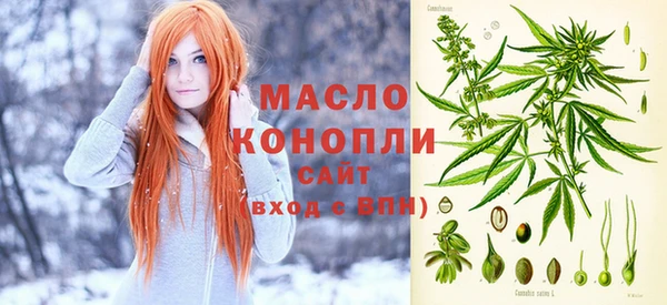 амф Новозыбков