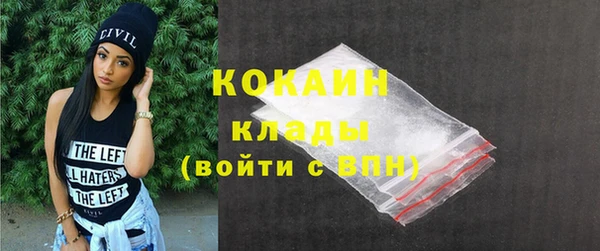 амф Новозыбков